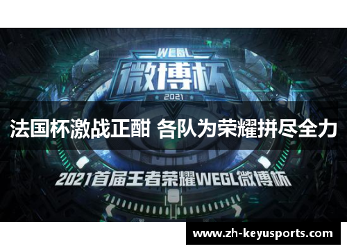 法国杯激战正酣 各队为荣耀拼尽全力